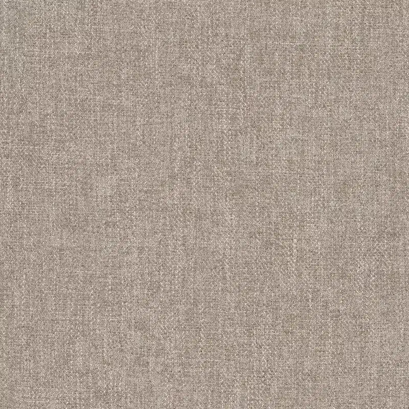 Chaise de salle à manger moderne avec roulettes, aucun assemblage requis